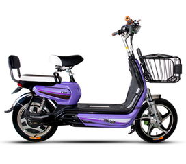 4月15號電動車將實(shí)施新規(guī),你的電動車真的安全嗎