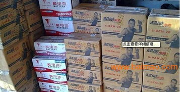 超威48v20a 電動車專用蓄電池,超威48v20a 電動車專用蓄電池生產(chǎn)廠家,超威48v20a 電動車專用蓄電池價格