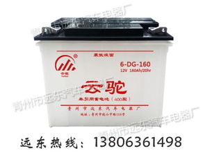 電動(dòng)三輪車(chē)蓄電池供應(yīng) 青州市遠(yuǎn)東汽車(chē)電器廠 電動(dòng)三輪車(chē)蓄電池 ,電動(dòng)三路車(chē)電瓶